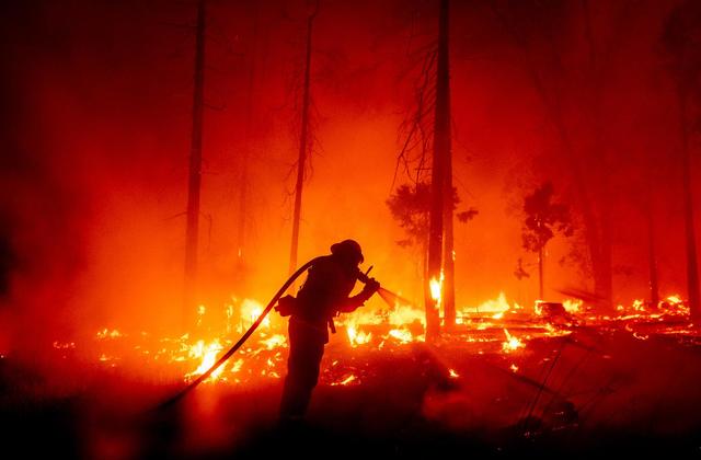 Safety Inspection/Auditor